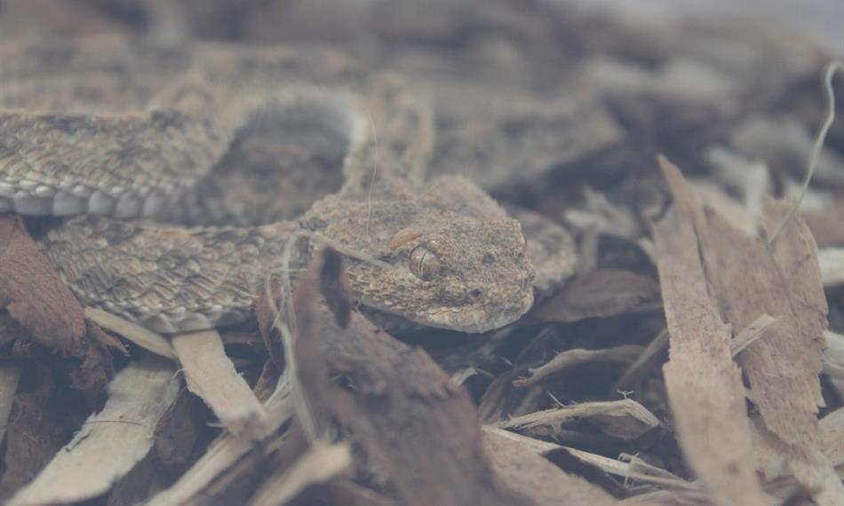 2014-10-21-941CITES 8.jpg